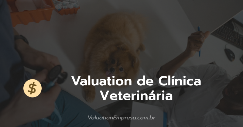 Contabilidade para Clínica Veterinária: Guia 2025